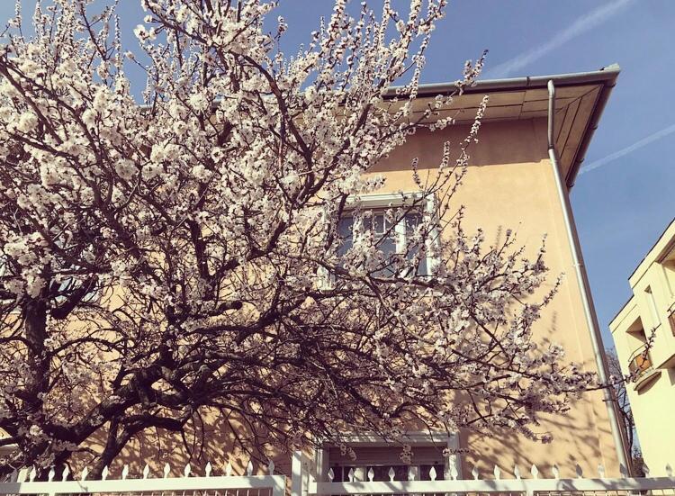 Kis Gellert Guesthouse Budapest Exteriör bild